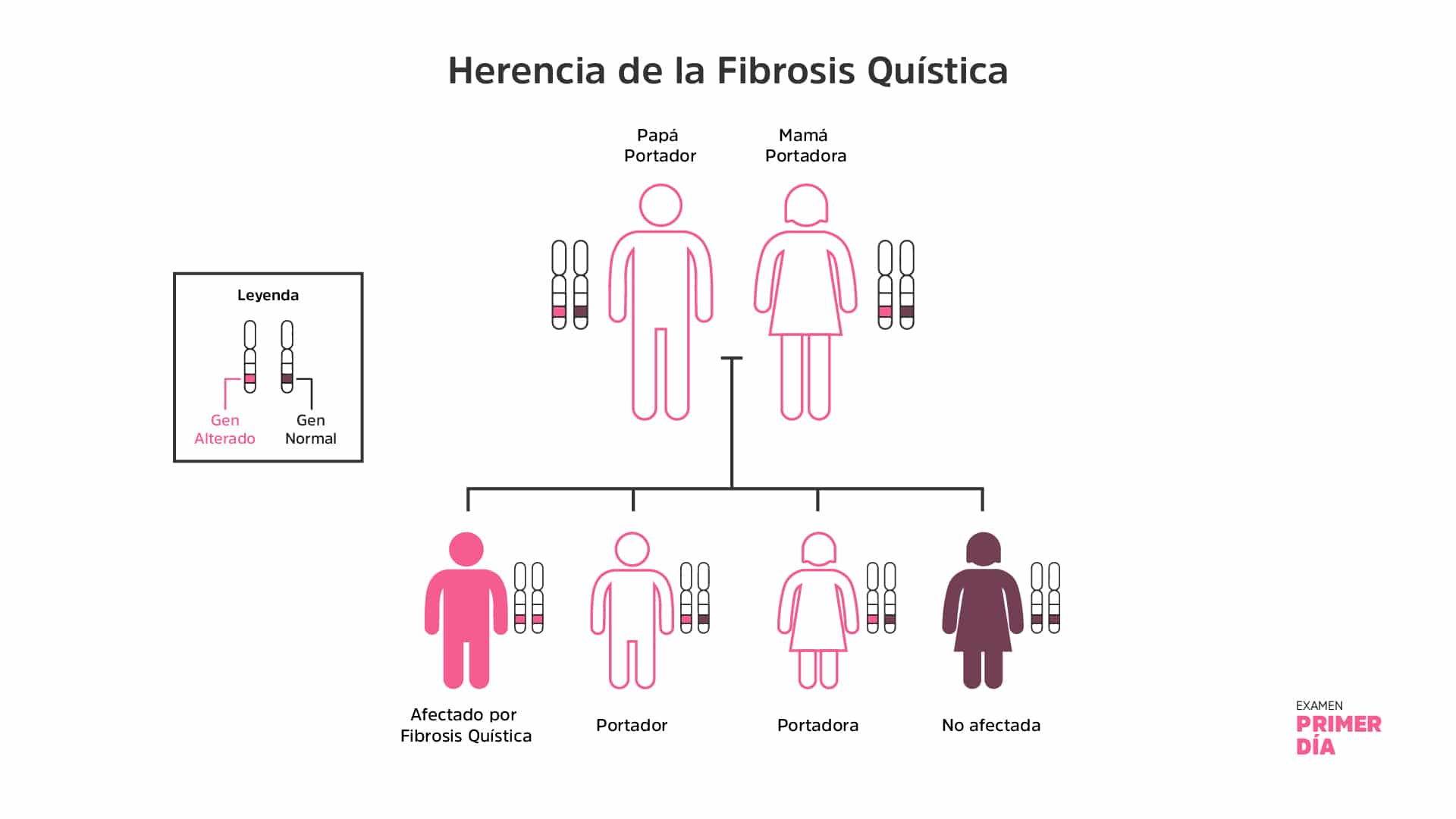 fibrosis quística